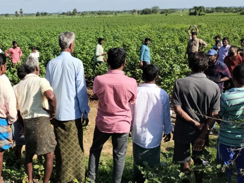 Field Demonstrations